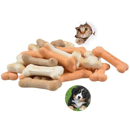 BISCUIȚI ȘI SNACKS CROCANȚI pentru animale